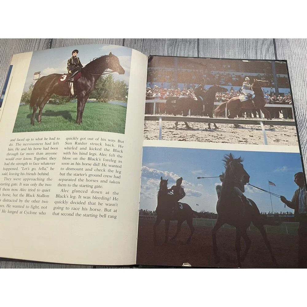 Vintage Vtg The Black Stallion Picture Book, Hardcover, By Walter Farley, 1979